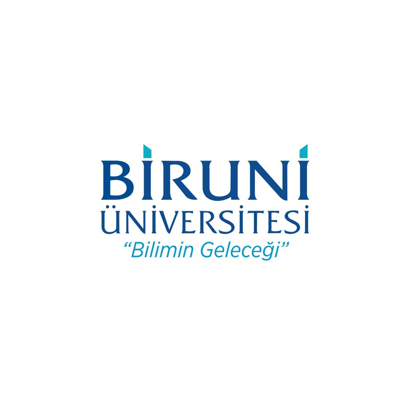 Istanbul Biruni University logo
